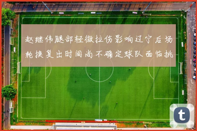 赵继伟腿部轻微拉伤影响辽宁后场轮换复出时间尚不确定球队面临挑战